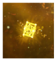 FLux.png